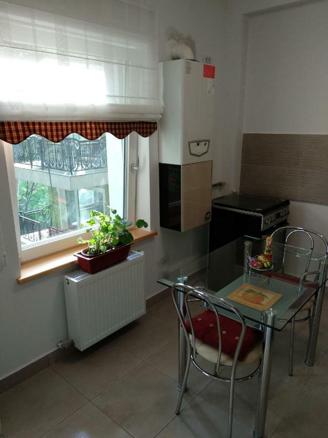 Apartament Ramona Apartman Brassó Kültér fotó