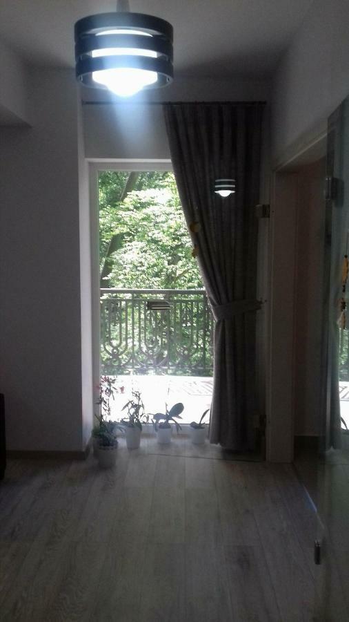 Apartament Ramona Apartman Brassó Kültér fotó